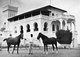 Tanzania / Zanzibar: Two of the sultan's horses, 1959